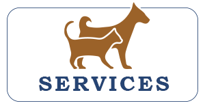 Pet veterinary-care Jonesborough, TN 37659